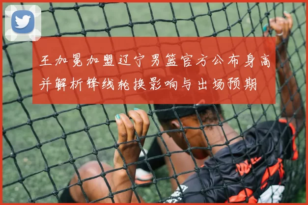 王加冕加盟辽宁男篮官方公布身高并解析锋线轮换影响与出场预期