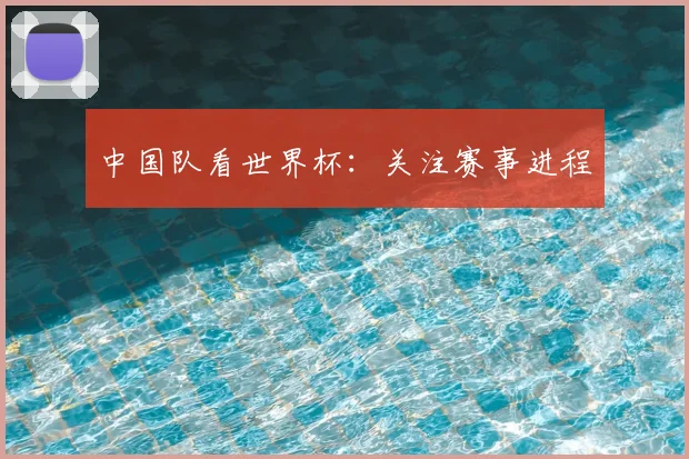 中国队看世界杯:关注赛事进程